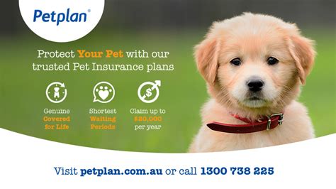 petplan vet line telephone number.